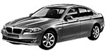 BMW F10 P189A Fault Code
